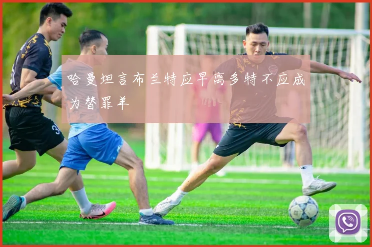 哈曼坦言布兰特应早离多特不应成为替罪羊