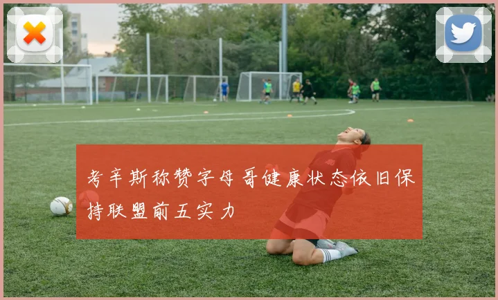 考辛斯称赞字母哥健康状态依旧保持联盟前五实力