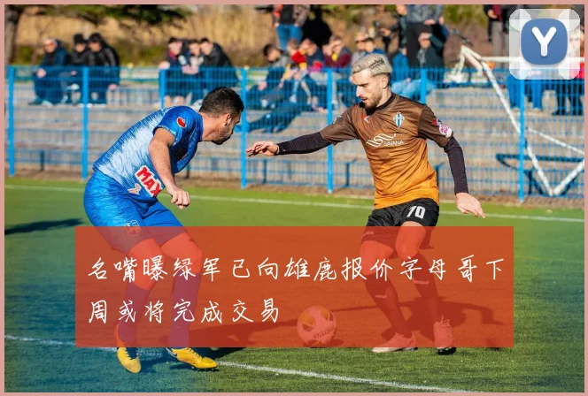 名嘴曝绿军已向雄鹿报价字母哥下周或将完成交易