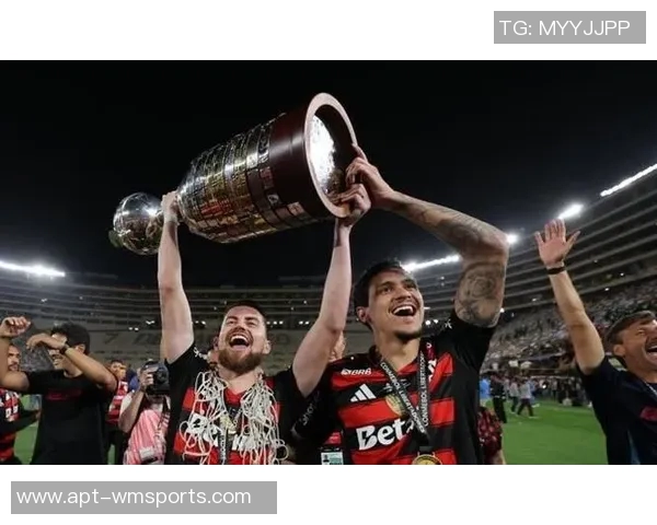 33岁若日尼奥五天内夺得两冠成就辉煌人生集齐欧冠欧洲杯解放者杯巴甲金球奖