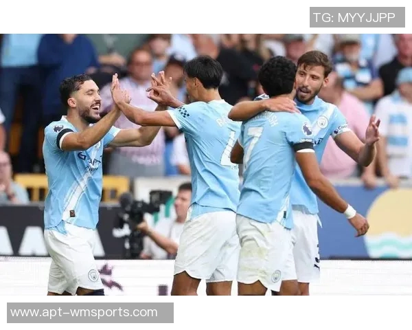 谢尔基分享与哈兰德的交流心得进球庆祝方式引发热议